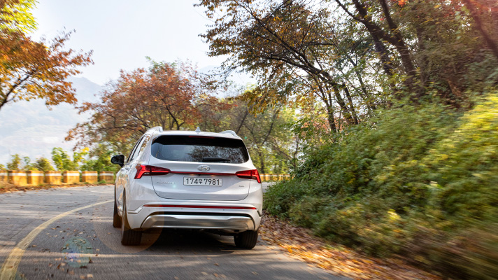 Hyundai Santa Fe rear view