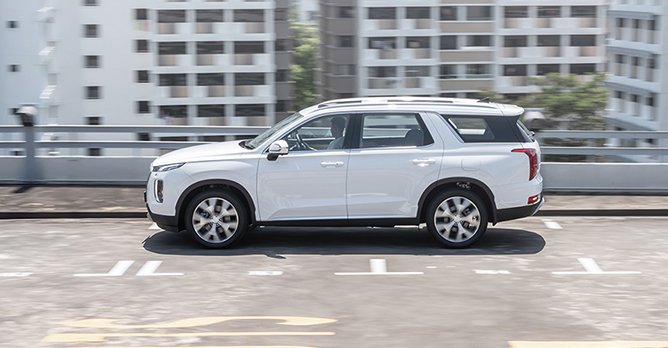 Hyundai PALISADE side