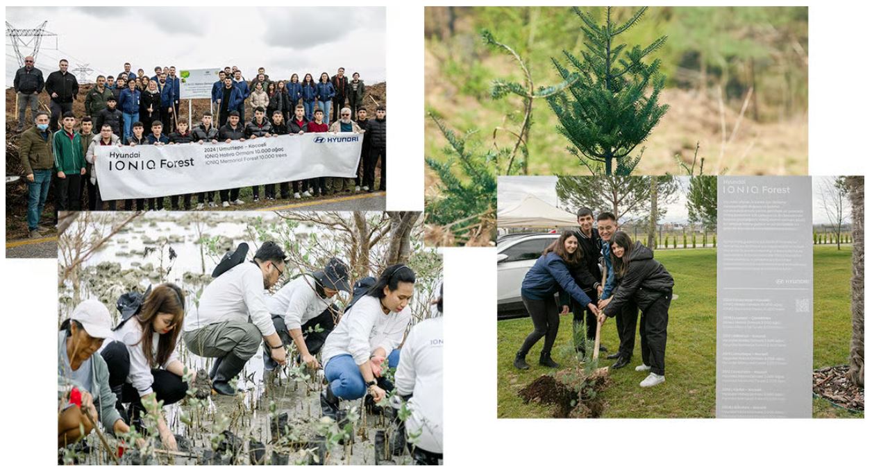Tree-correspondents-campaign-cannes