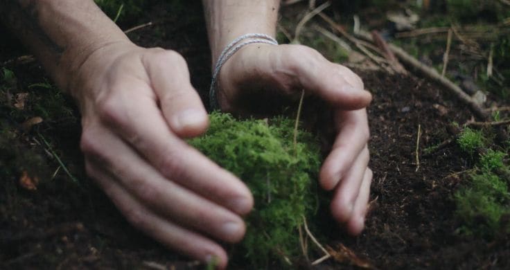 David touches grass